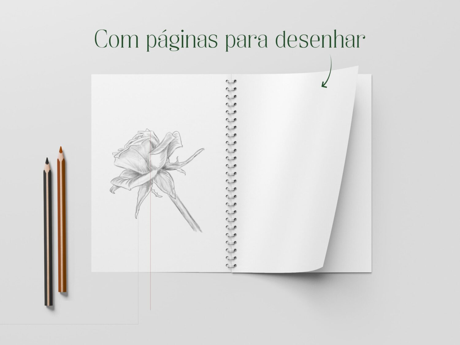 Imagem do livro de Desenho de Plantas e Flores Volume 1 dos autores José Augusto Novas e Júlio César Mota Petrucci mostrando que existem páginas em branco para o comprador desenhar