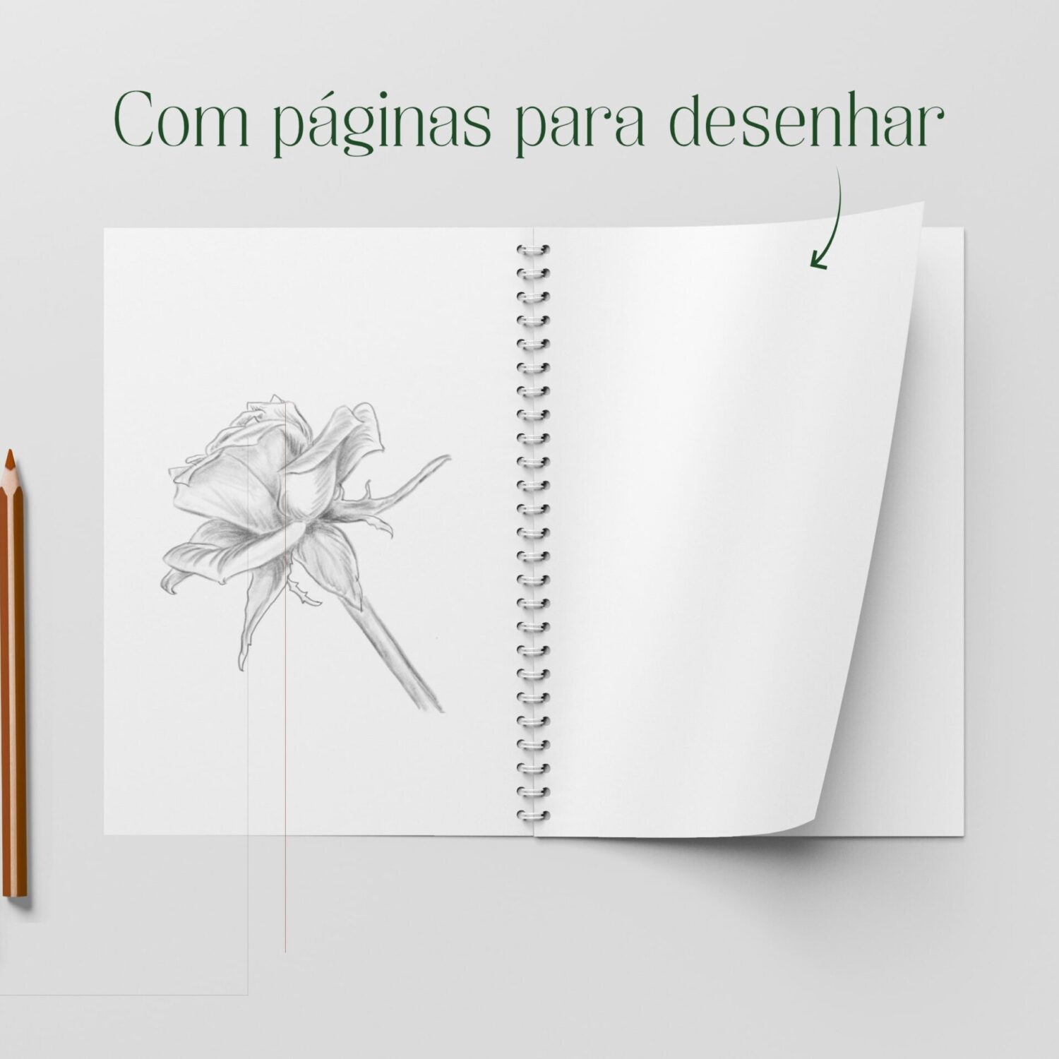 Imagem do livro de Desenho de Plantas e Flores Volume 1 dos autores José Augusto Novas e Júlio César Mota Petrucci mostrando que existem páginas em branco para o comprador desenhar