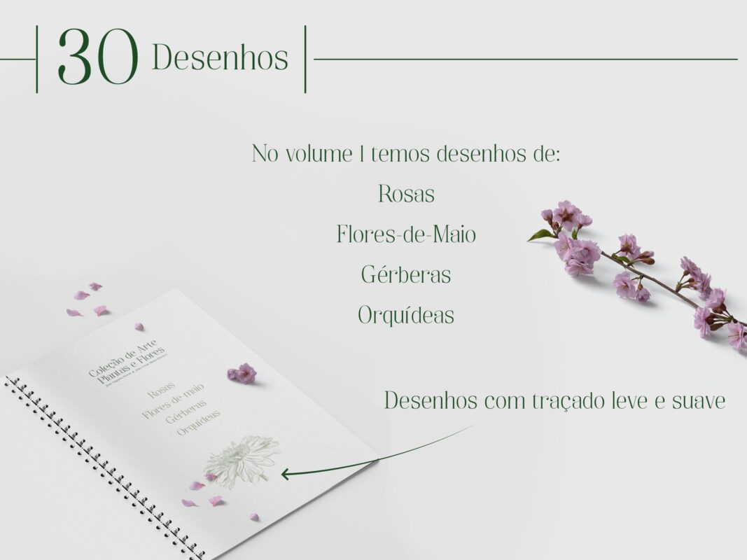 Imagem do livro de Desenho de Plantas e Flores Volume 1 apresentando as que são 30 desenhos