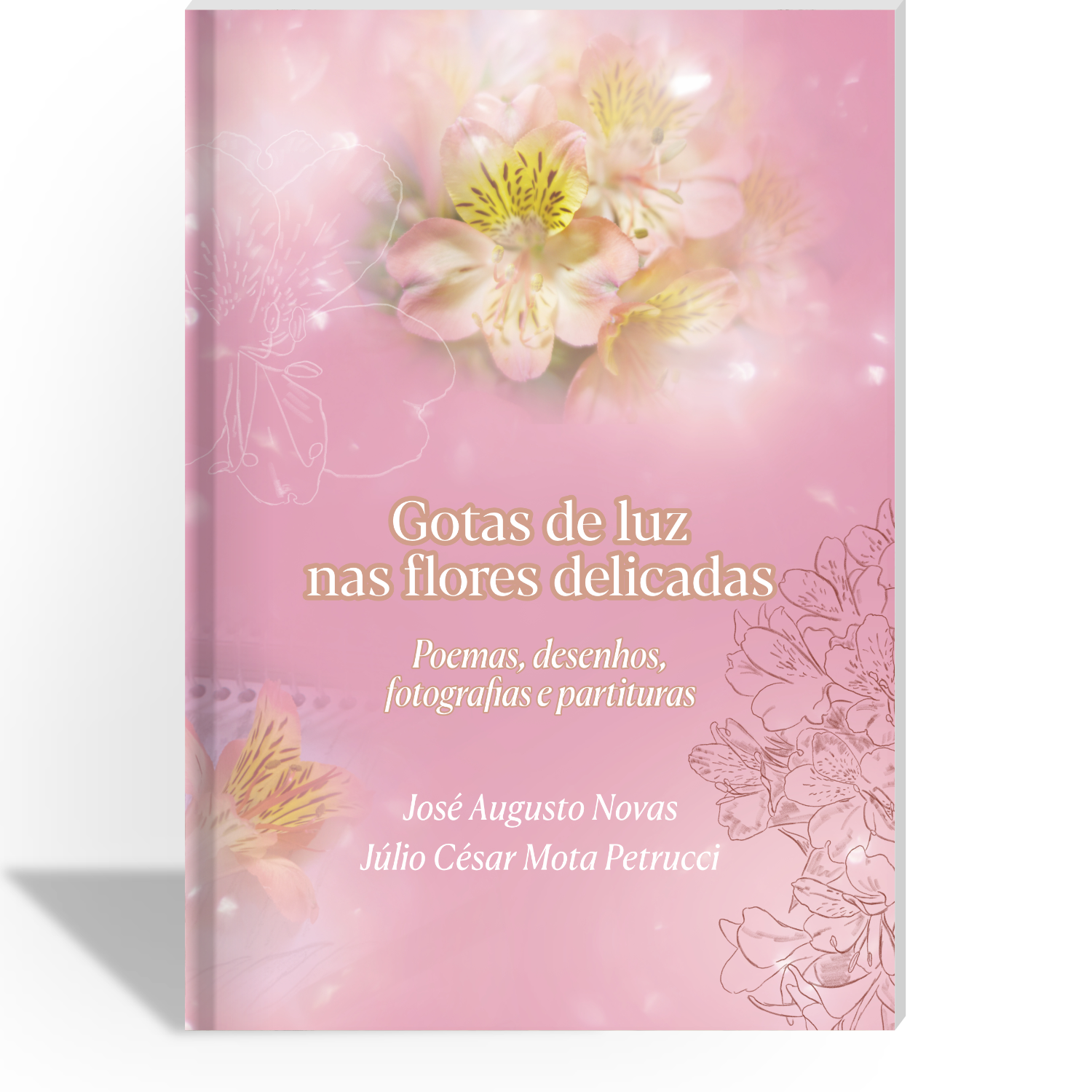 Capa do livro "Gotas de luz nas flores delicadas", de José Augusto Novas e Júlio César Mota Petrucci, ISBN 9786501182216.