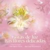 Capa do álbum "Gotas de Luz nas Flores Delicadas", com uma estética suave em tons de rosa e amarelo. A imagem destaca uma flor central com detalhes delicados e contornos de flores desenhadas ao fundo. Composição ao piano de José Augusto Novas e produção de Júlio César Mota Petrucci.