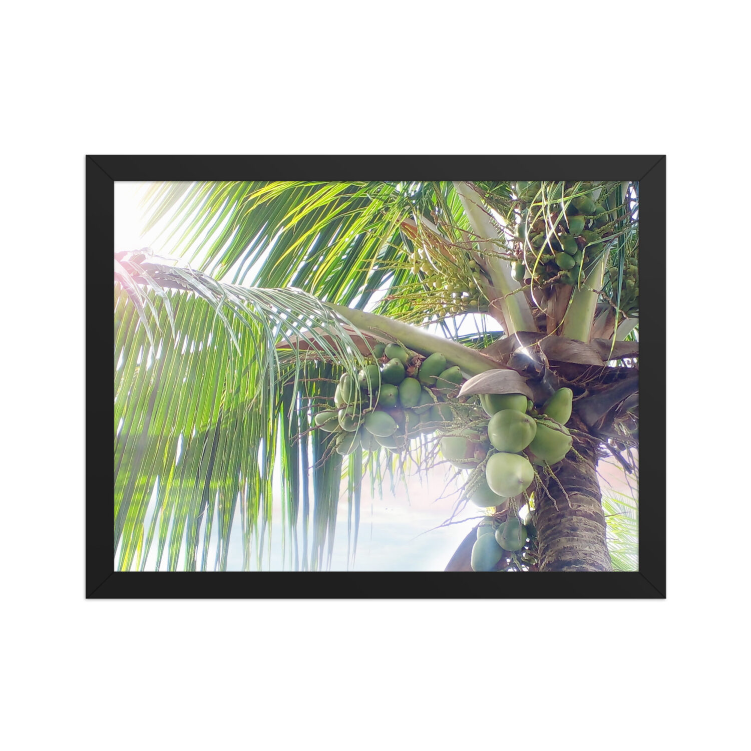 Pôster de papel fosco com moldura