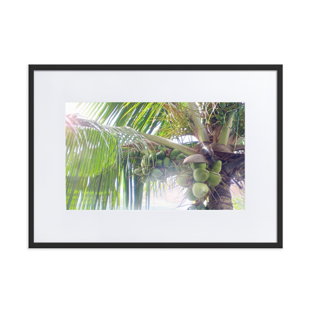 Pôster em papel fosco com moldura e paspatur