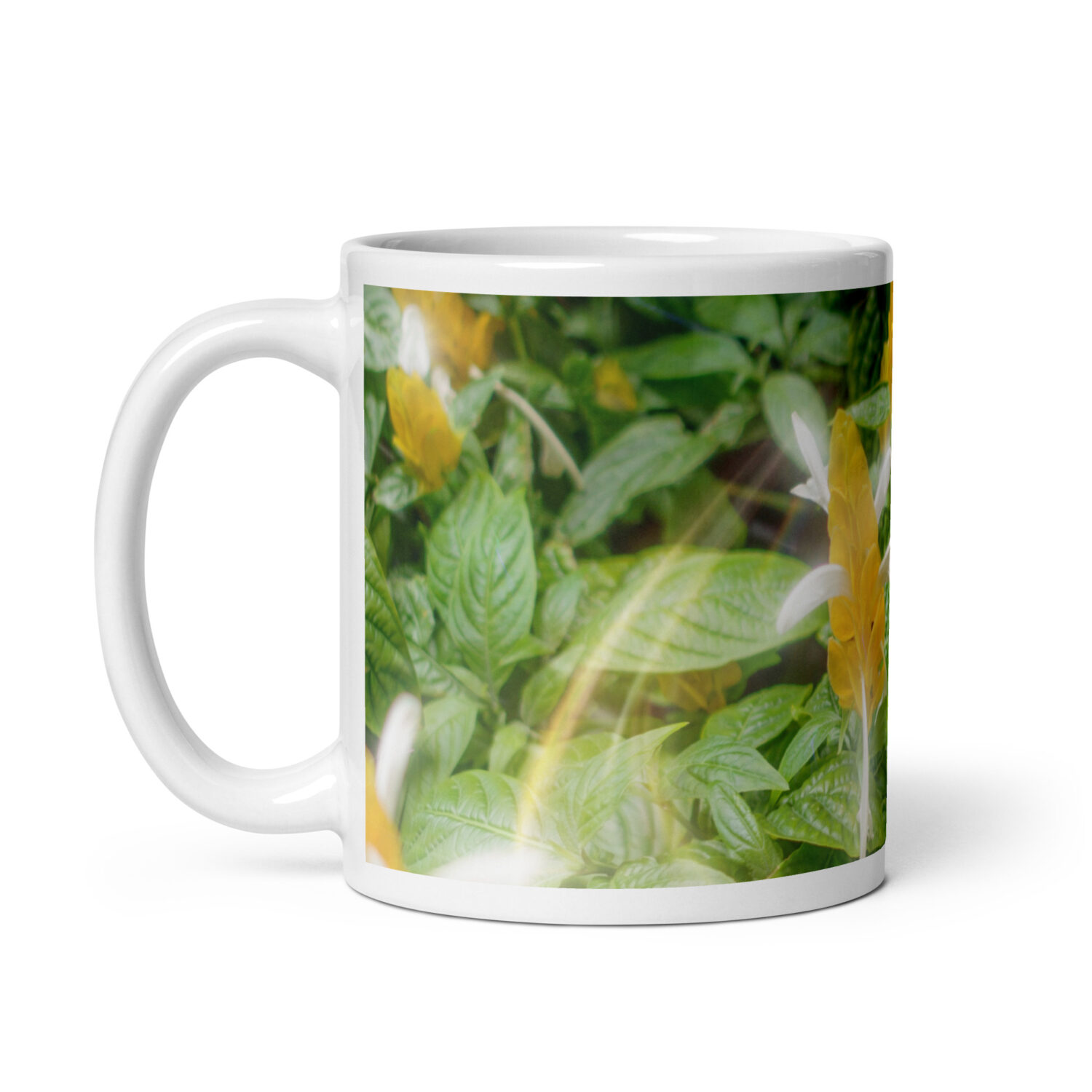 Alternative view of Caneca